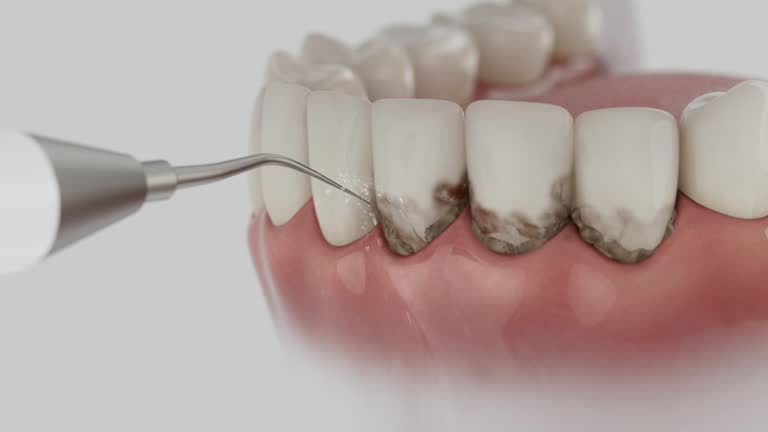 Reliable Dental contractor in Thiensville, WI by Dentist Open Now